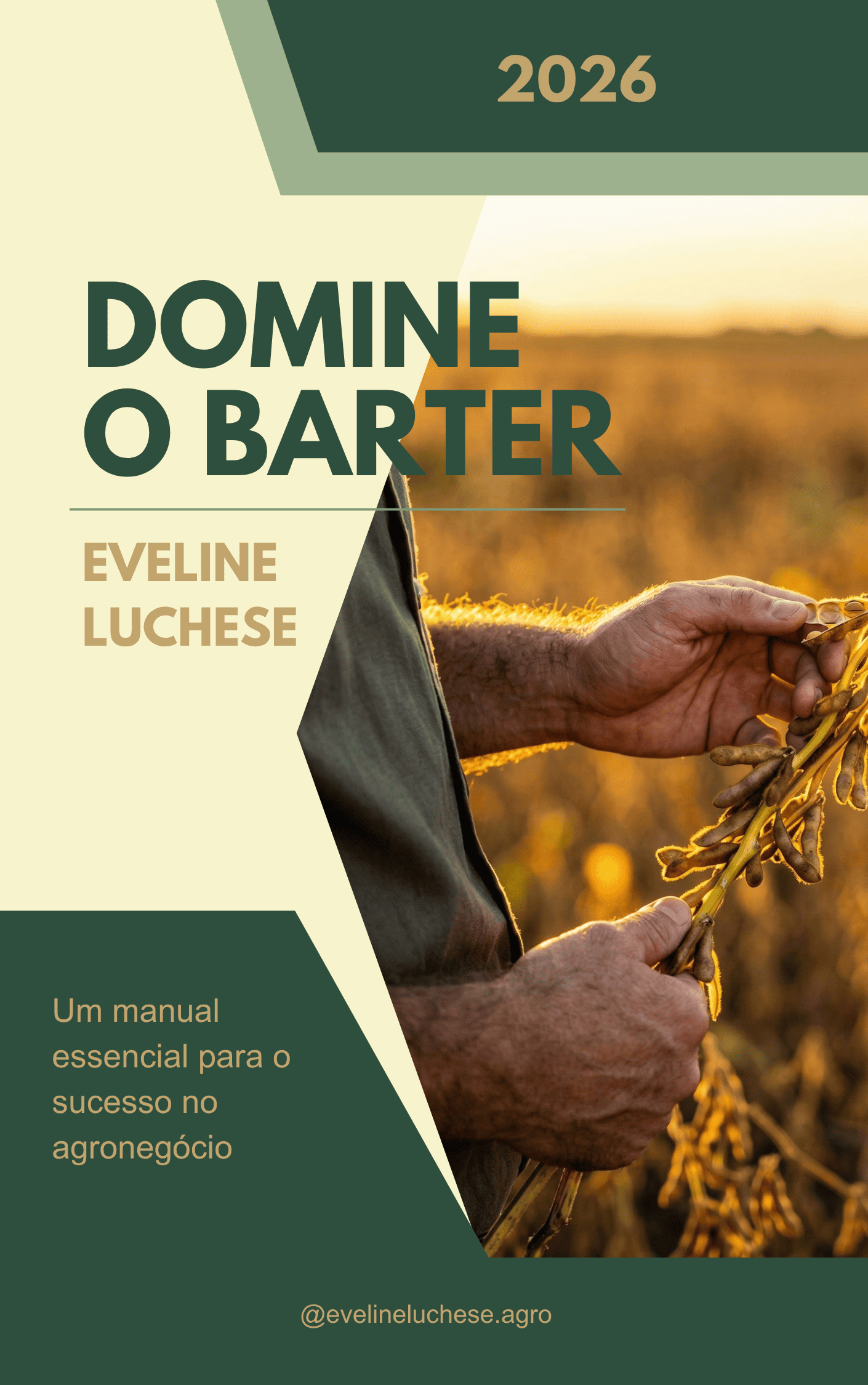 Capa do e‑book Domine o Barter